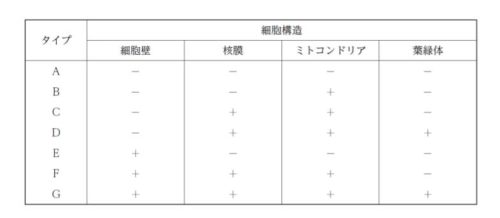 綾瀬はるか 天然