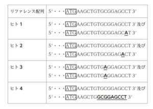 パフューム 再生